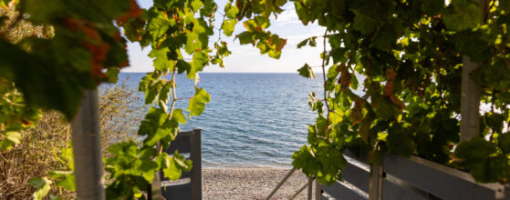 Ammoudeli Apartments - View of a tranquil beach through a leafy archway, with a clear blue sky and calm sea. A wooden staircase leads down to the pebble shoreline, surrounded by lush green foliage partially turning brown.